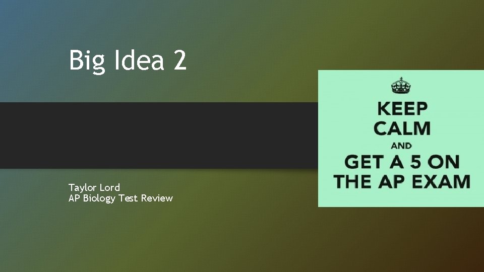 Big Idea 2 Taylor Lord AP Biology Test Review 