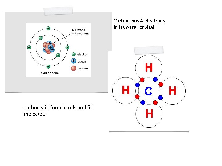 Carbon has 4 electrons in its outer orbital Carbon will form bonds and fill