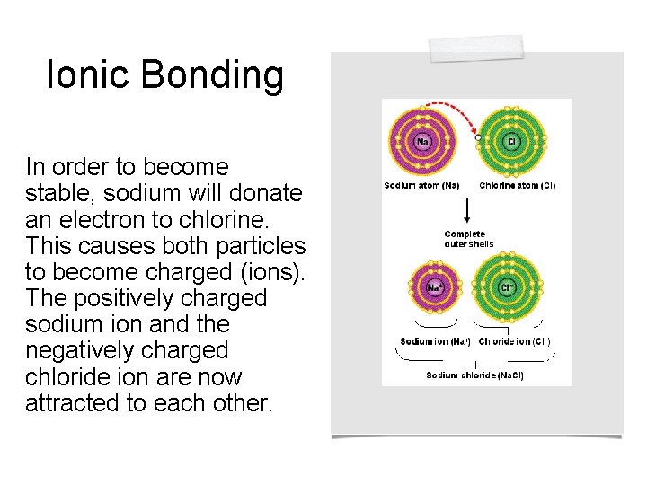 Ionic Bonding In order to become stable, sodium will donate an electron to chlorine.