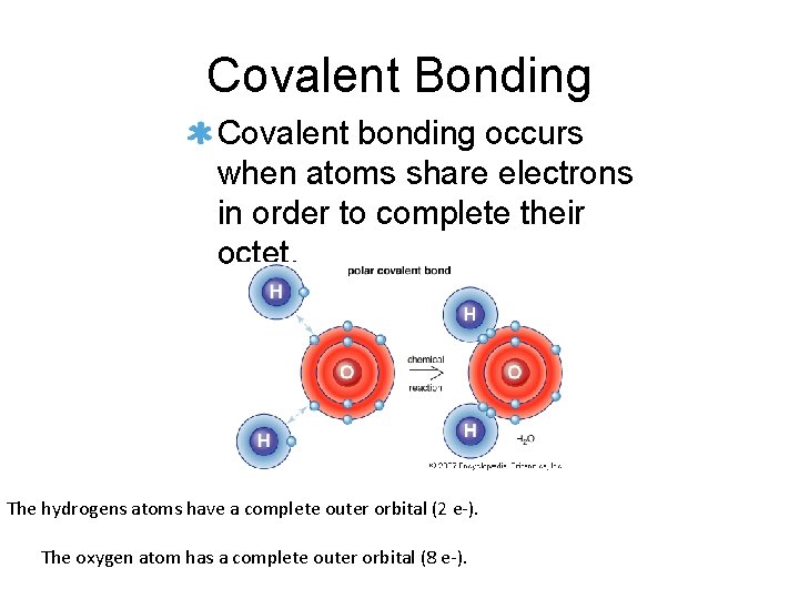 Covalent Bonding Covalent bonding occurs when atoms share electrons in order to complete their