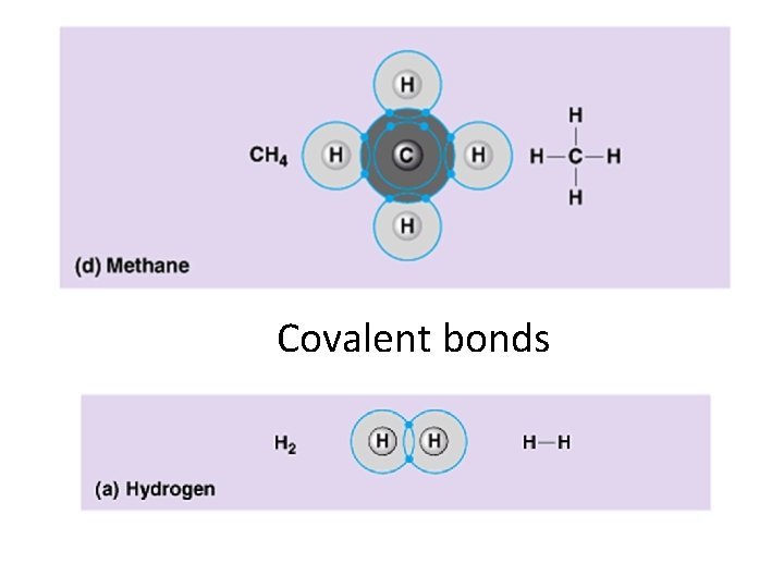 Covalent bonds 