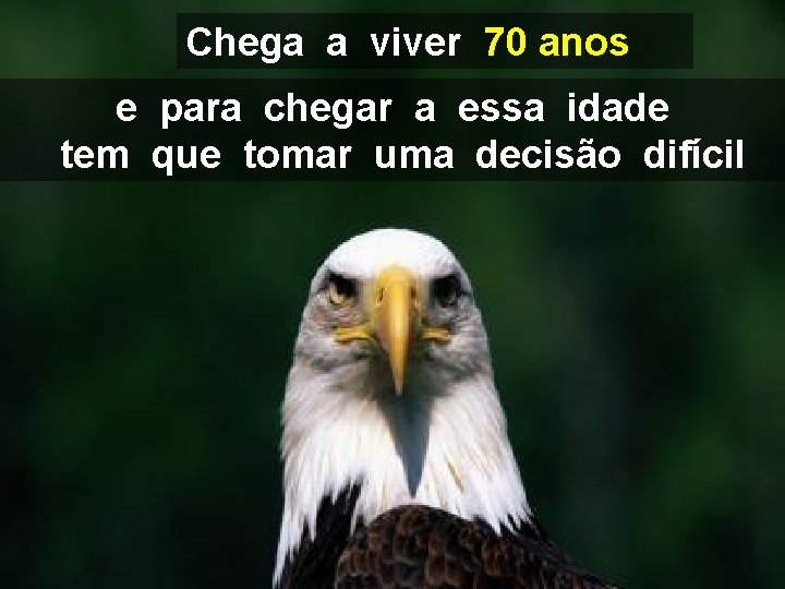 Chega a viver 70 anos e para chegar a essa idade tem que tomar