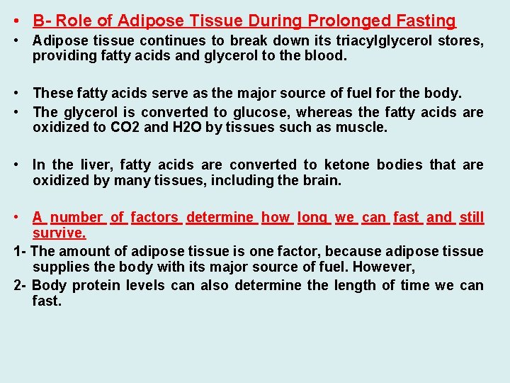  • B- Role of Adipose Tissue During Prolonged Fasting • Adipose tissue continues