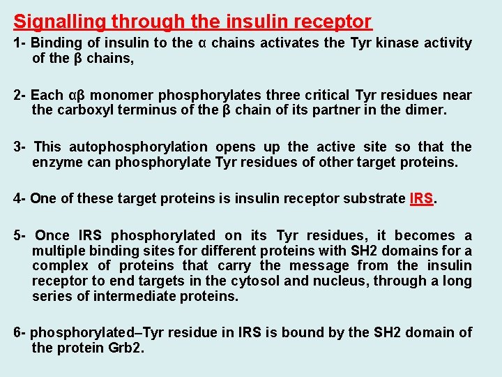 Signalling through the insulin receptor 1 - Binding of insulin to the α chains