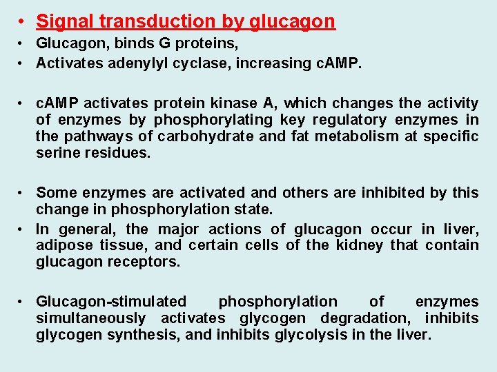  • Signal transduction by glucagon • Glucagon, binds G proteins, • Activates adenylyl