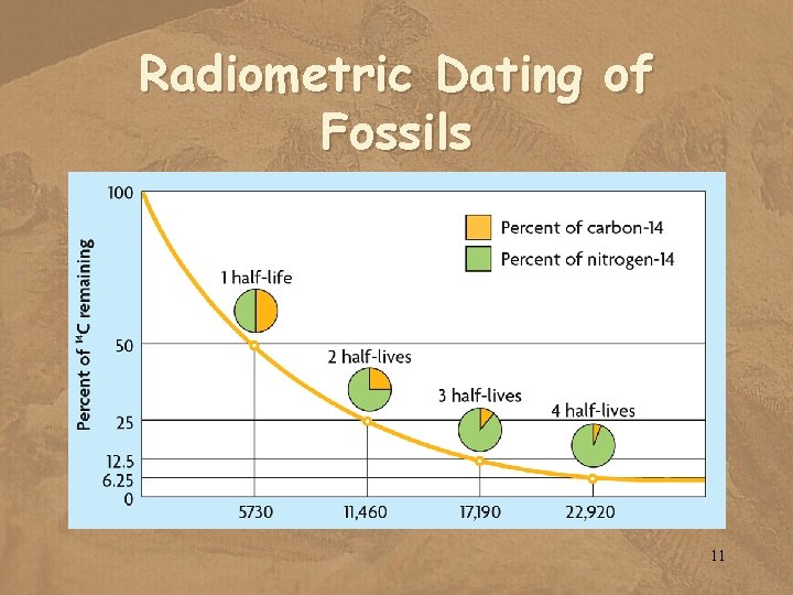 Radiometric Dating of Fossils 11 