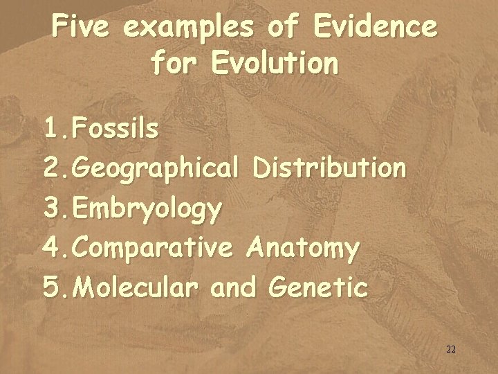 Five examples of Evidence for Evolution 1. Fossils 2. Geographical Distribution 3. Embryology 4.