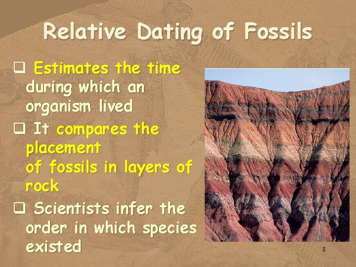 Relative Dating of Fossils q Estimates the time during which an organism lived q