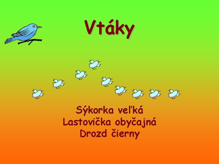 Vtáky Sýkorka veľká Lastovička obyčajná Drozd čierny 