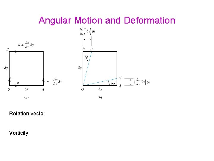 Angular Motion and Deformation Rotation vector Vorticity 