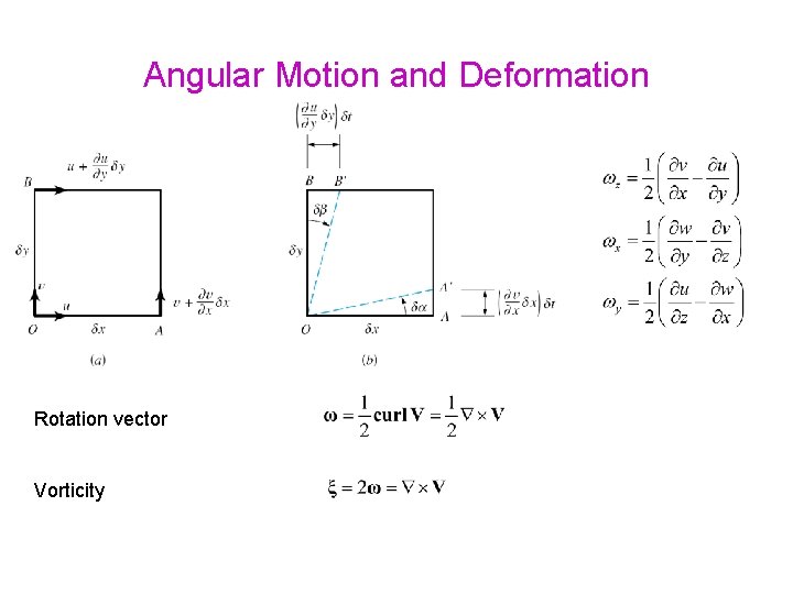 Angular Motion and Deformation Rotation vector Vorticity 