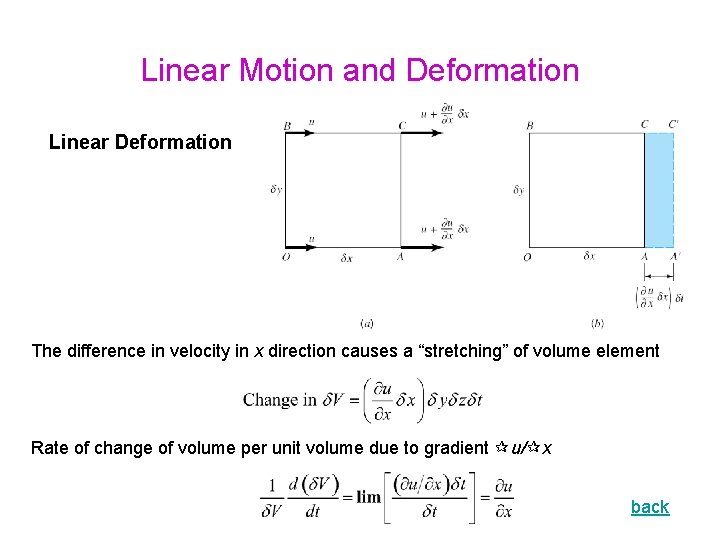 Linear Motion and Deformation Linear Deformation The difference in velocity in x direction causes