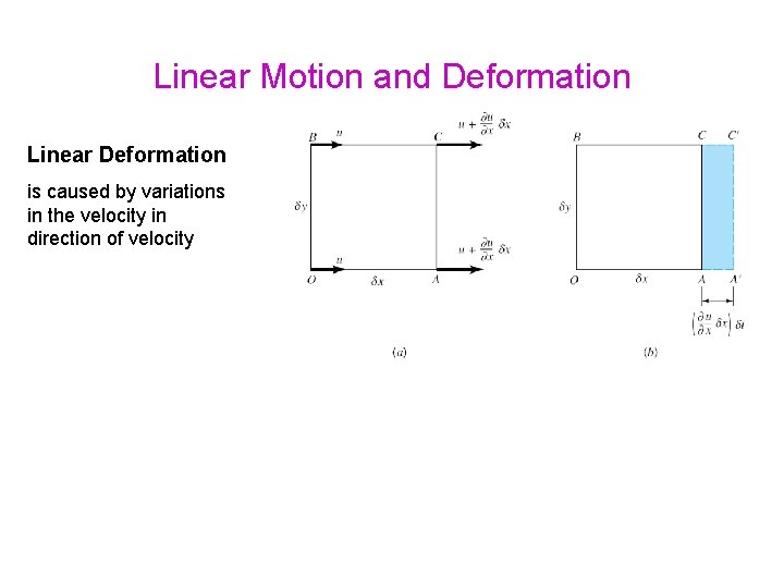 Linear Motion and Deformation Linear Deformation is caused by variations in the velocity in