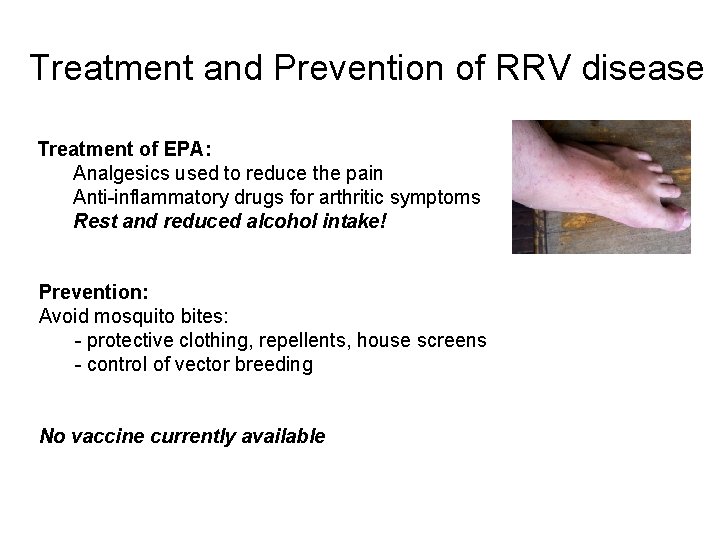 Rrv Rash Vaccines for Australian Arboviruses Roy Hall Australian Infectious