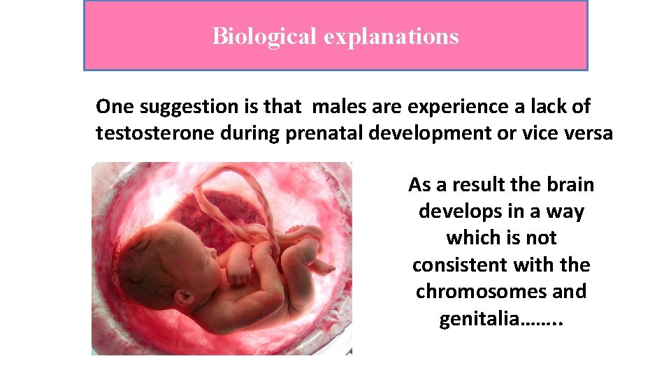 Biological explanations One suggestion is that males are experience a lack of testosterone during