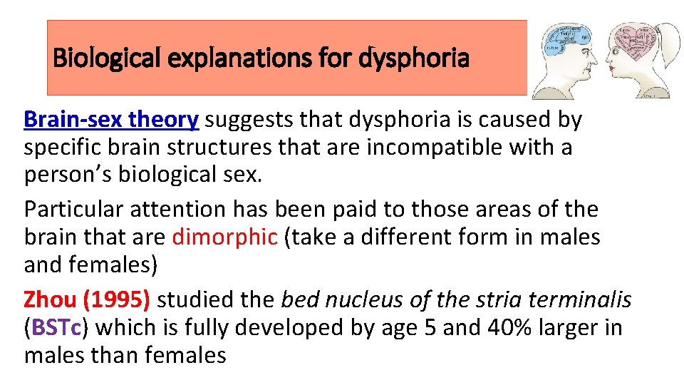 Biological explanations for dysphoria Brain-sex theory suggests that dysphoria is caused by specific brain