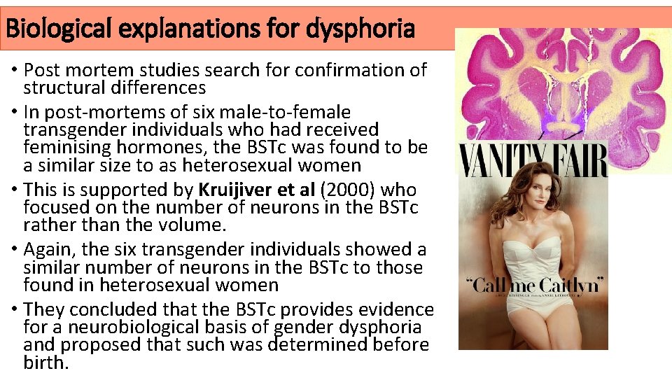 Biological explanations for dysphoria • Post mortem studies search for confirmation of structural differences