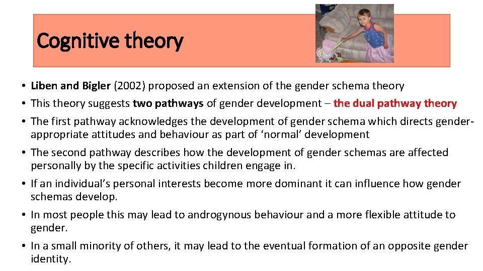 Cognitive theory • Liben and Bigler (2002) proposed an extension of the gender schema