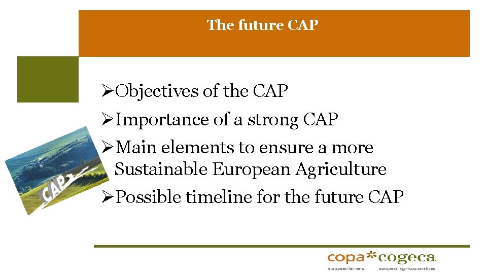 The future CAP ØObjectives of the CAP ØImportance of a strong CAP ØMain elements