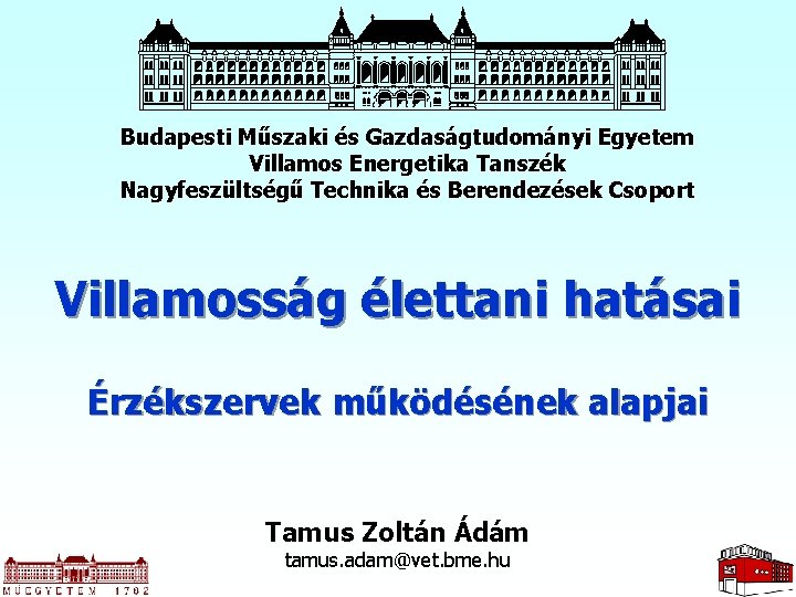 Budapesti Műszaki és Gazdaságtudományi Egyetem Villamos Energetika Tanszék Nagyfeszültségű Technika és Berendezések Csoport Villamosság