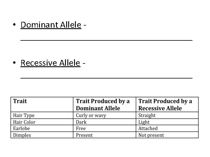  • Dominant Allele ___________________ • Recessive Allele ___________________ 