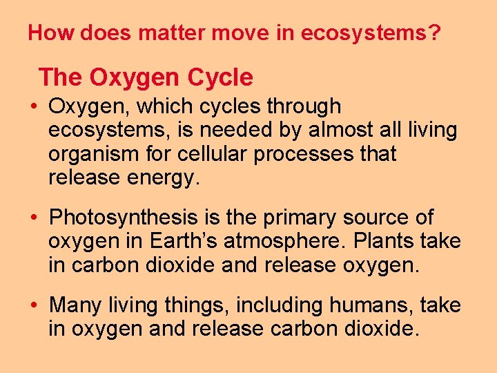 How does matter move in ecosystems? The Oxygen Cycle • Oxygen, which cycles through