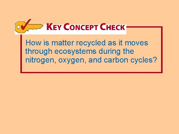 How is matter recycled as it moves through ecosystems during the nitrogen, oxygen, and
