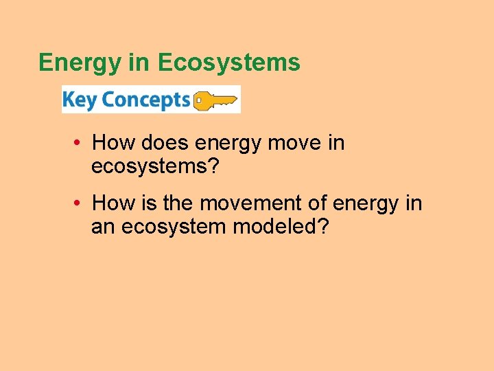 Energy in Ecosystems • How does energy move in ecosystems? • How is the