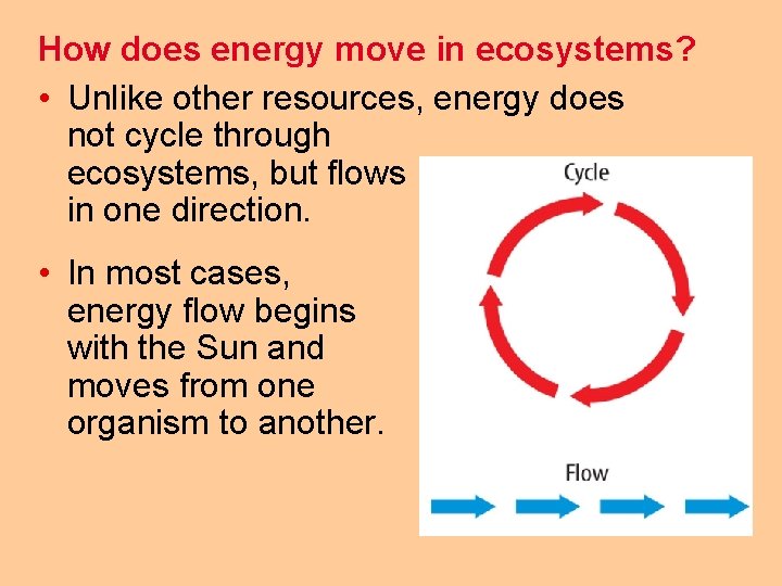 How does energy move in ecosystems? • Unlike other resources, energy does not cycle