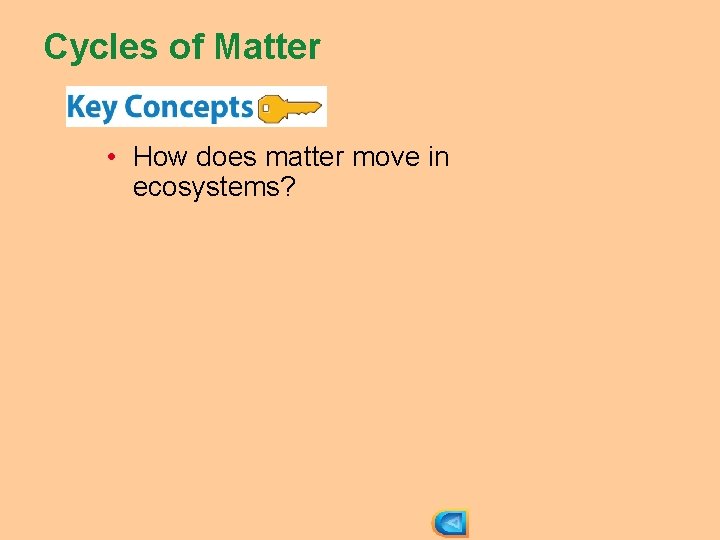 Cycles of Matter • How does matter move in ecosystems? 