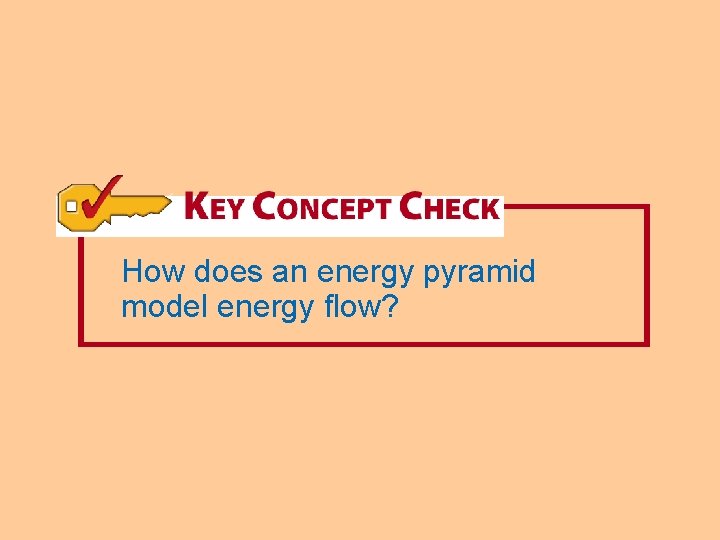 How does an energy pyramid model energy flow? 