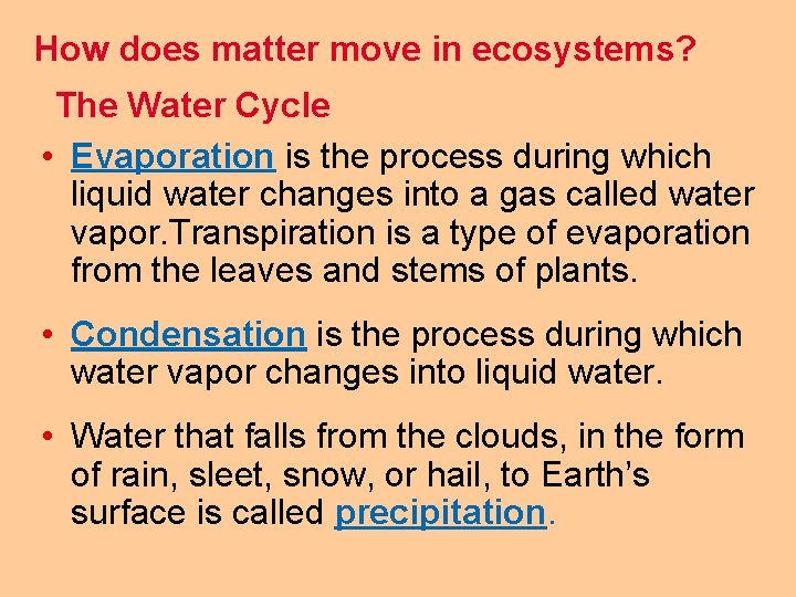 How does matter move in ecosystems? The Water Cycle • Evaporation is the process