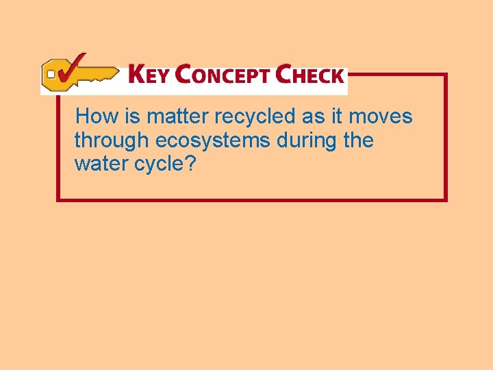 How is matter recycled as it moves through ecosystems during the water cycle? 