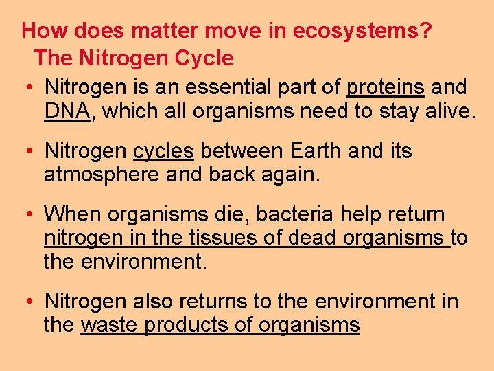 How does matter move in ecosystems? The Nitrogen Cycle • Nitrogen is an essential