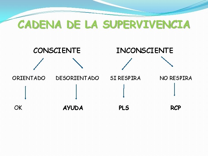 CADENA DE LA SUPERVIVENCIA CONSCIENTE ORIENTADO OK DESORIENTADO AYUDA INCONSCIENTE SI RESPIRA NO RESPIRA