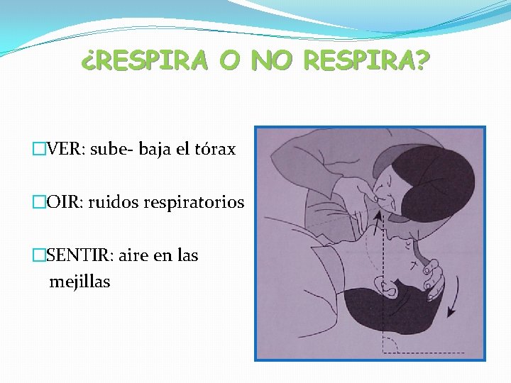 ¿RESPIRA O NO RESPIRA? �VER: sube- baja el tórax �OIR: ruidos respiratorios �SENTIR: aire