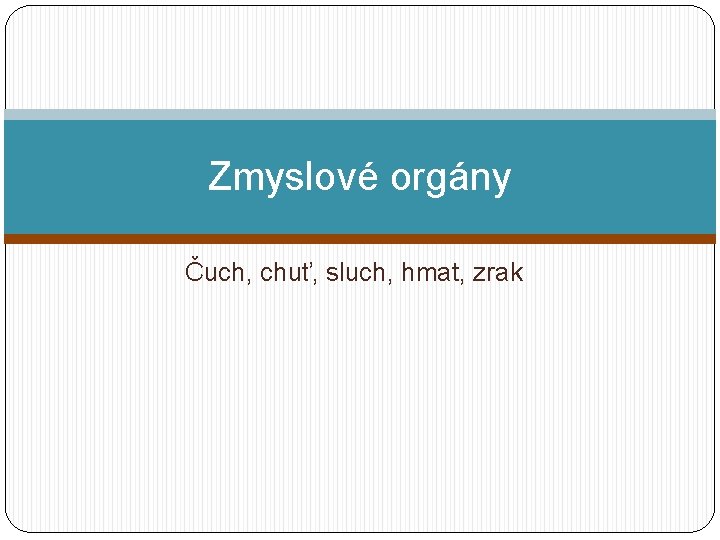 Zmyslové orgány Čuch, chuť, sluch, hmat, zrak 