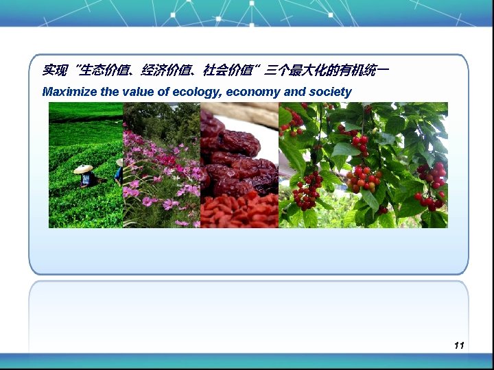 实现“生态价值、经济价值、社会价值”三个最大化的有机统一 Maximize the value of ecology, economy and society 11 