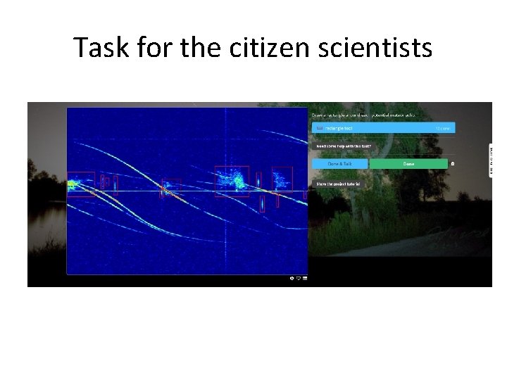Task for the citizen scientists 