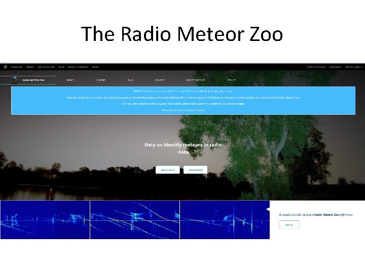 The Radio Meteor Zoo 