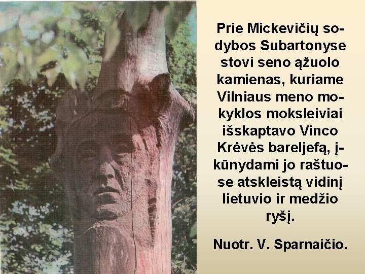 Prie Mickevičių sodybos Subartonyse stovi seno ąžuolo kamienas, kuriame Vilniaus meno mokyklos moksleiviai išskaptavo
