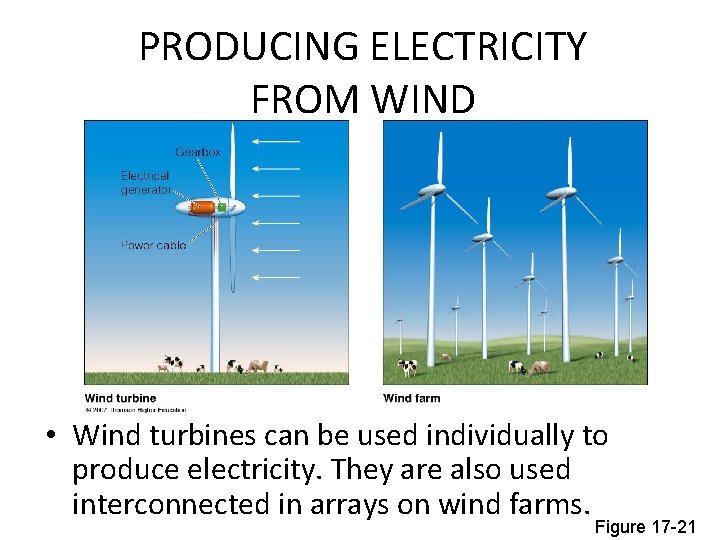 PRODUCING ELECTRICITY FROM WIND • Wind turbines can be used individually to produce electricity.