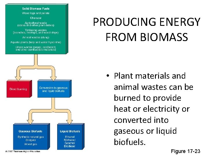 PRODUCING ENERGY FROM BIOMASS • Plant materials and animal wastes can be burned to