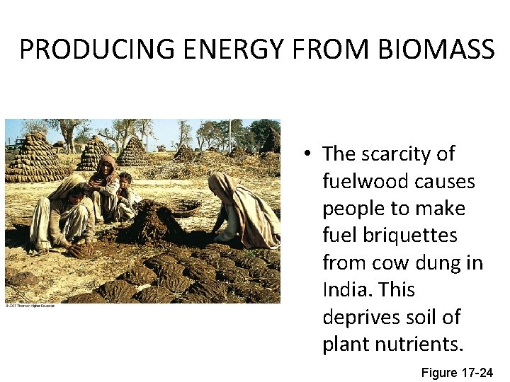 PRODUCING ENERGY FROM BIOMASS • The scarcity of fuelwood causes people to make fuel