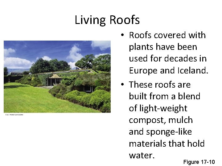 Living Roofs • Roofs covered with plants have been used for decades in Europe