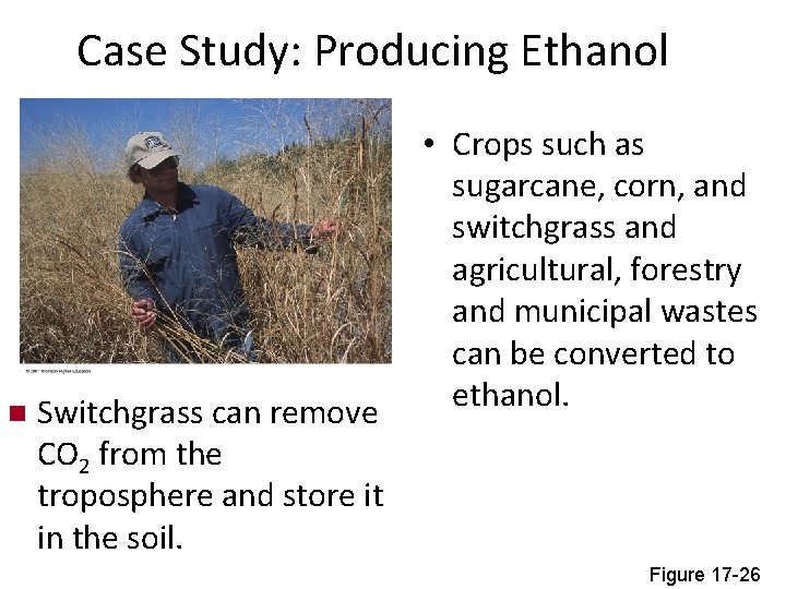 Case Study: Producing Ethanol n Switchgrass can remove CO 2 from the troposphere and