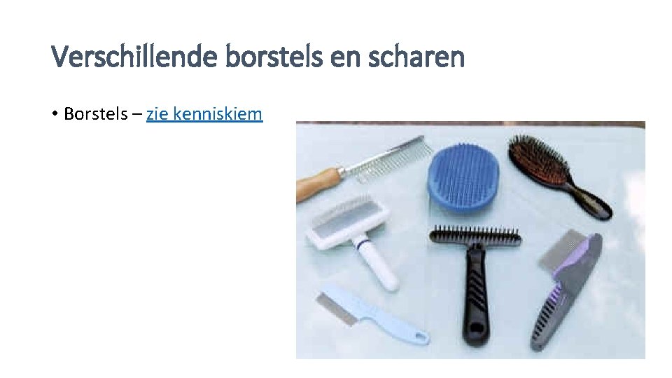 Verschillende borstels en scharen • Borstels – zie kenniskiem 