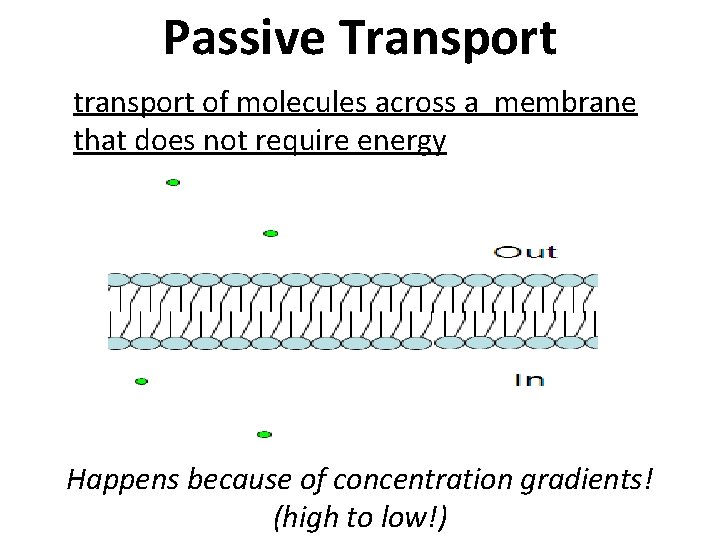 Passive Transport transport of molecules across a membrane that does not require energy Happens Passive Transport transport of molecules across a membrane that does not require energy Happens
