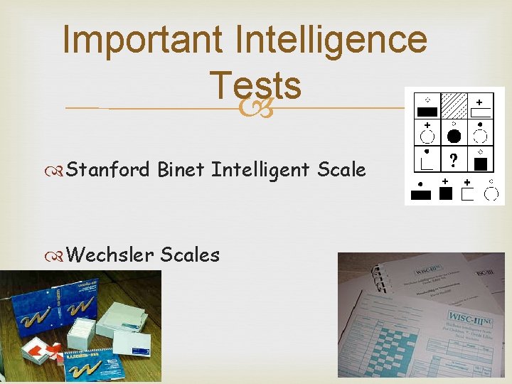 Important Intelligence Tests Stanford Binet Intelligent Scale Wechsler Scales 