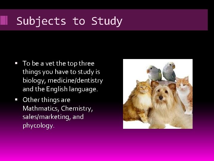 Subjects to Study To be a vet the top three things you have to